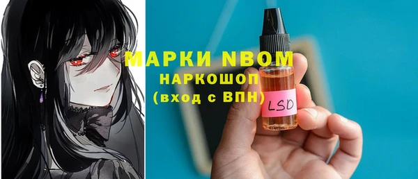 крисы Няндома