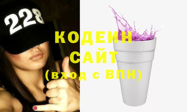 крисы Няндома