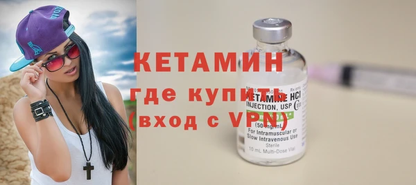 крисы Няндома