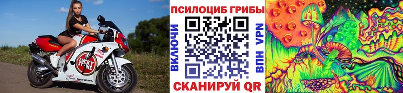 Псилоцибиновые грибы Cubensis Приморско-Ахтарск